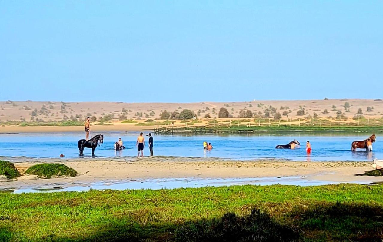 الوالدية Maison De La Lagune المظهر الخارجي الصورة